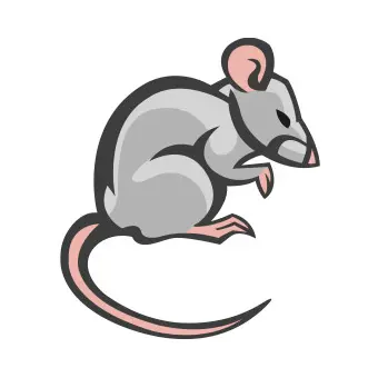 Средства от мышей